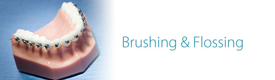 Martin Orthodontics Bergen County orthodontist Brushing and Flossing